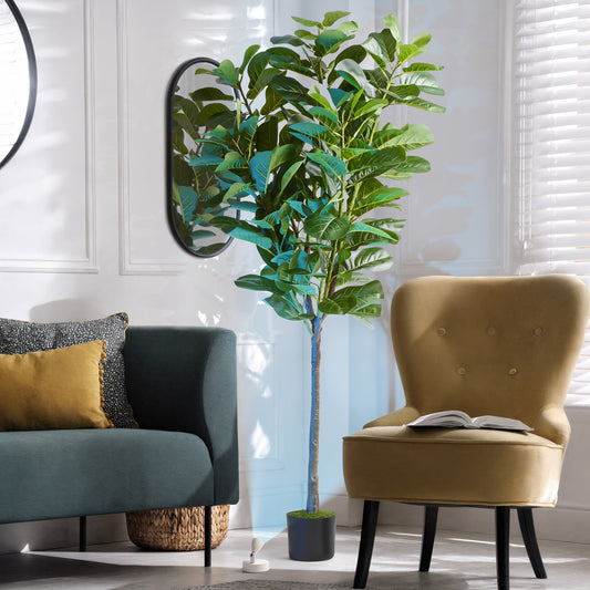 6ft Fiddle Leaf Fig Tree