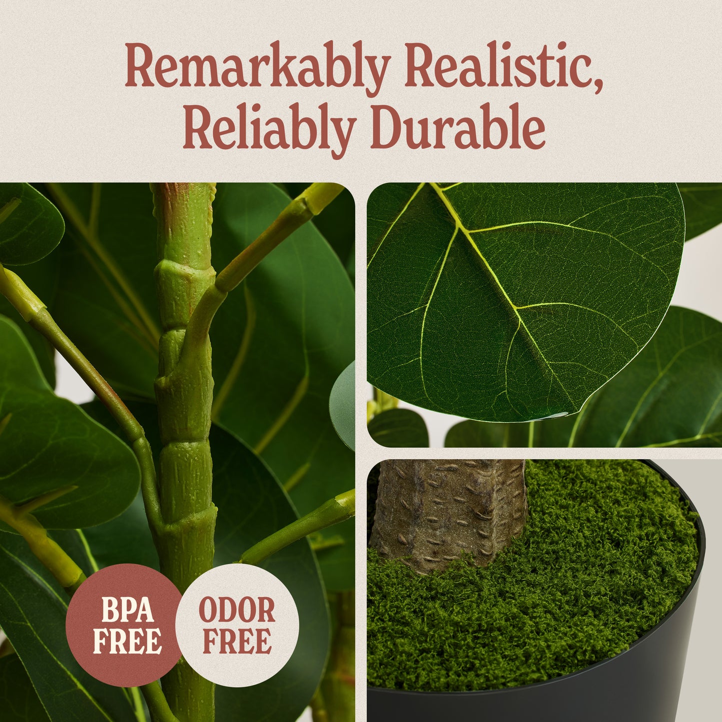 6ft Fiddle Leaf Fig Tree