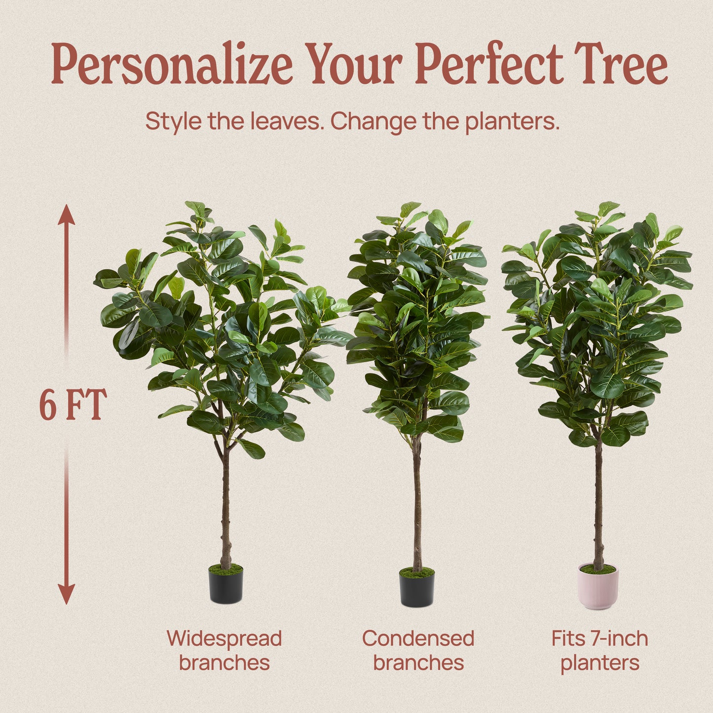 6ft Fiddle Leaf Fig Tree
