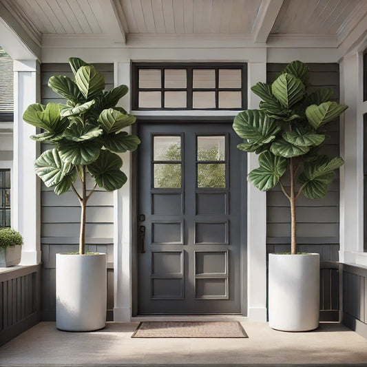 Pair of 6ft faux fiddle leaf fig plants in tall white planters flanking a charcoal double front door on a craftsman-style porch, realistic artificial fig trees with matte leaves and natural texture